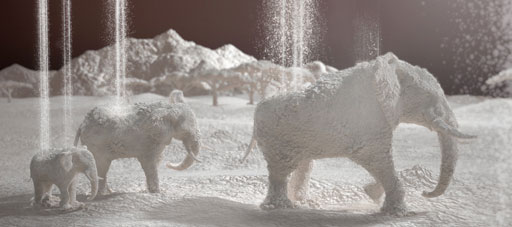 Amaize "Flour"